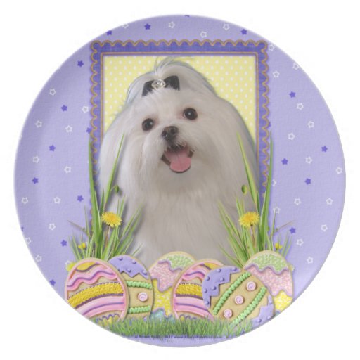 Easter Egg Cookies - Maltese Plate