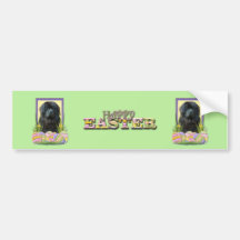 Easter Egg Cookies - Newfoundland Bumper Sticker