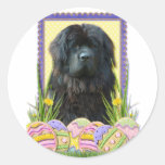 Easter Egg Cookies - Newfoundland Round Stickers