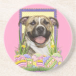 Easter Egg Cookies - Pitbull - Tigger Coasters