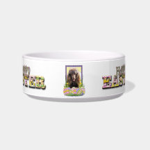 Easter Egg Cookies - Poodle - Chocolate Cat Food Bowl