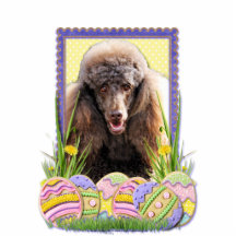 Easter Egg Cookies - Poodle - Chocolate Photo Cutout