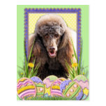 Easter Egg Cookies - Poodle - Chocolate Post Cards