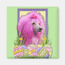 Easter Egg Cookies - Poodle - Pink Fridge Magnets
