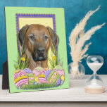 Easter Egg Cookies - Rhodesian Ridgeback Plaque