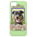 Easter Egg Cookies - Rottweiler iPhone 5 Cases