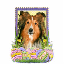 Easter Egg Cookies - Sheltie Photo Sculptures
