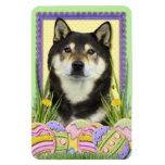 Easter egg Cookies - Shiba Inu Magnet