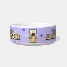 Easter Egg Cookies - Shih Tzu - Opal Cat Water Bowls