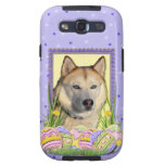 Easter Egg Cookies - Siberian Husky Copper Galaxy SIII Cover
