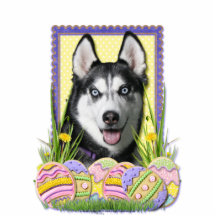 Easter Egg Cookies - Siberian Husky Cut Outs