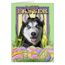 Easter Egg Cookies - Siberian Husky Greeting Cards