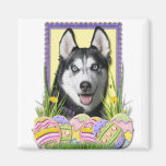 Easter Egg Cookies - Siberian Husky Magnets