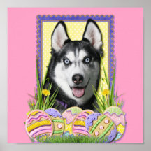 Easter Egg Cookies - Siberian Husky Posters