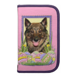 Easter Egg Cookies - Vallhund Planner