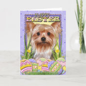 Easter Egg Cookies - Yorkshire Terrier Card