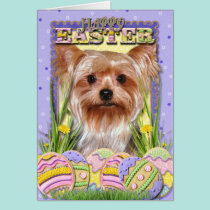 Easter Egg Cookies - Yorkshire Terrier cards
