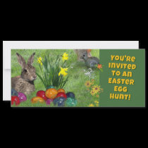 Easter Egg Hunt invitations