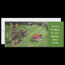 Easter Egg Hunt Invitation for Catlovers invitations