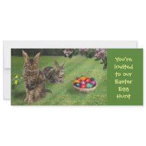 Easter Egg Hunt Invitation for Catlovers