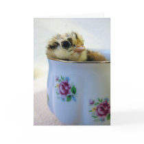 Easter Egger Chick in Cup cards