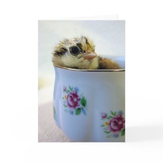 Easter Egger Chick in Cup card