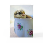 Easter Egger Chick in Cup cards