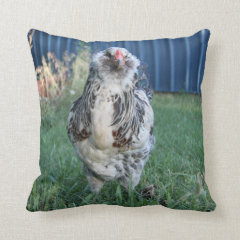 Easter Egger Rooster Pillow