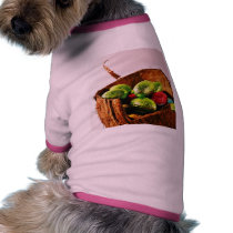 Easter Eggs pet clothing