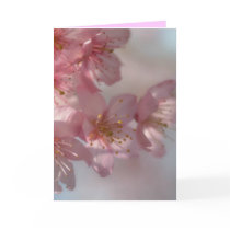 Easter Flowers Card