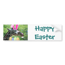 Easter Giraffe Bumper Stickers