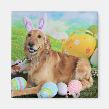 Easter - Golden Retriever - Molly Refrigerator Magnets