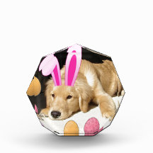 Easter Golden Retriever Puppy Acrylic Award