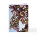 Easter Greeting Card