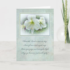 Easter Greeting Card - White Amaryllis