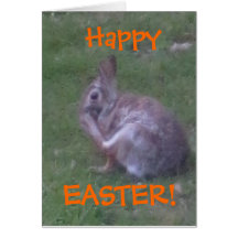 Easter Greetings Cards