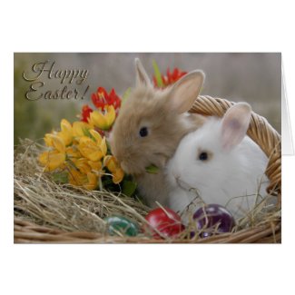 Easter - "Happy Easter" Baby Bunnies Greeting Card