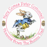 Easter - Here Comes Peter Cottontail Sticker