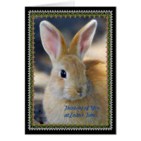 Easter Holiday Greeting Greeting Card