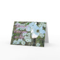 Easter Hope-customize cards by MakaraPhotos Easter Hope-customize cards