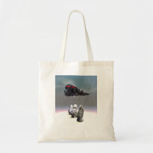 Easter Island Heads and UFO Bag