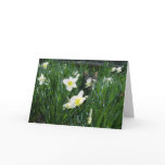 EASTER KITTEN IN FLOWERS CARD
