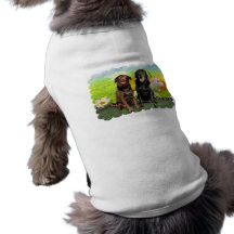 Easter - Labrador - Jack and Diane Pet Clothing