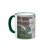 EASTER LILLY mugs