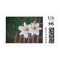 "EASTER LILLY" postage