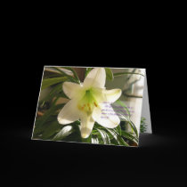 Easter Lily Card cards