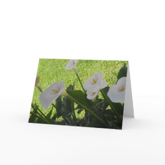 Easter Lily Card card