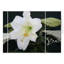 Easter Lily "I Love you" greeting card