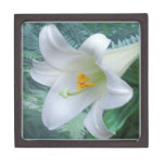 Easter Lily premium gift boxes