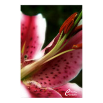 Easter Lily posters
